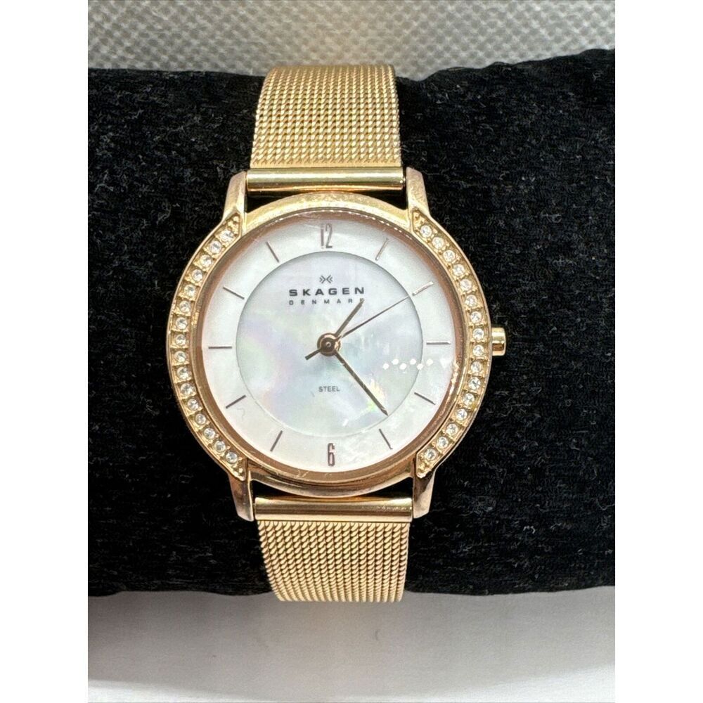Skagen 804SRR Women's Stainless Steel Mesh Analog Dial Quartz Wrist Watch AEA318